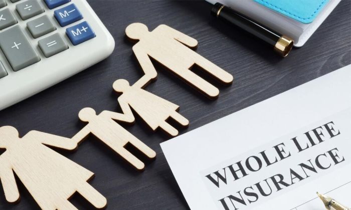 Life whole insurance payments premium level