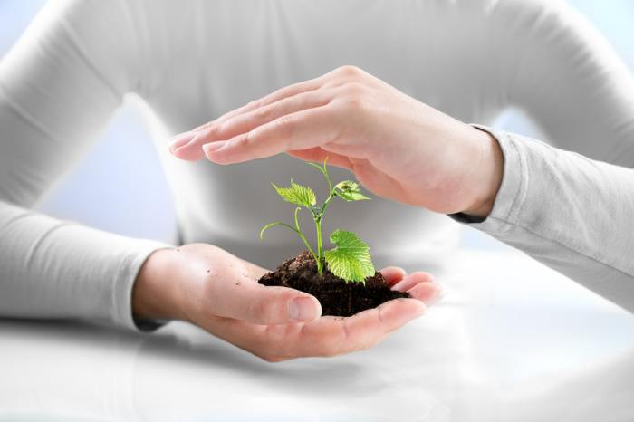 Insurance agricultural slideshare