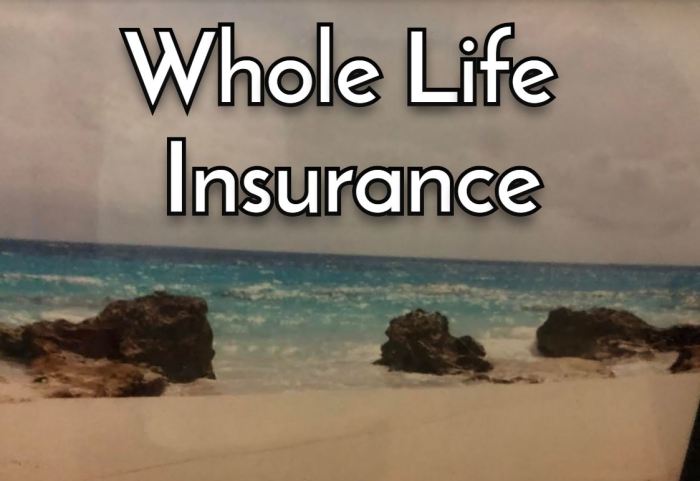 Insurance life whole policy work facts does background
